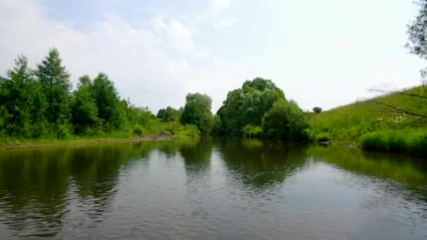 Paisaje forestal de verano fuera de la ciudad Metraje De Stock Sin Royalties Gratis