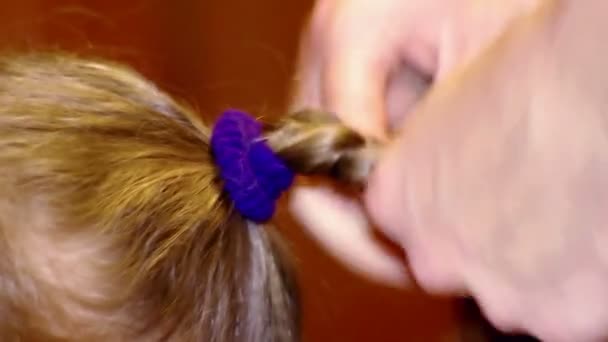 El cabello trenzado en una hermosa trenza — Vídeo de stock