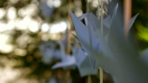 Aves de papel penduradas em um fio — Vídeo de Stock