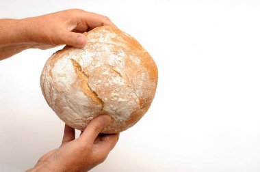 Geleneksel Sırp ekmeği fırıncının elinde