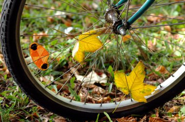 Bisiklet tekerleğinin yakın plan çekimi, çimlerin üzerinde, düşen sonbahar yapraklarıyla dikilirken, teller-mevsimlik bisiklet ve doğa konsepti arasına sıkışmış bazı sarı yapraklar..