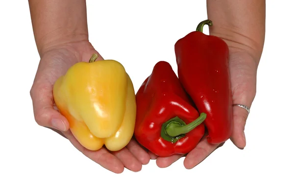 Vynikající zdravá papriky — Stock fotografie
