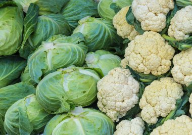 Arka plan için bir yığın lahana ve karnabahar kullanımı