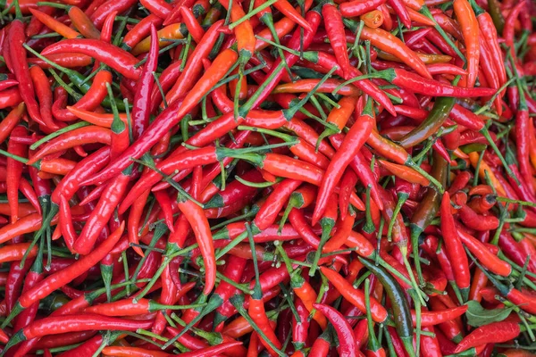 Arkaplan için kırmızı biber yığını