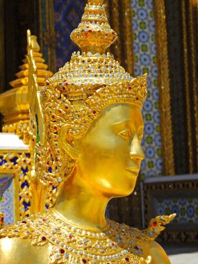 Tay tapınak koruyucusu