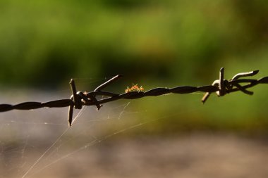Mülkiyet haklarını korumak için barded tel
