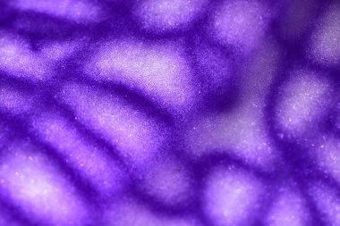 Orkide doku kadar kapatın