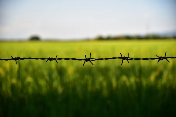 Mülkiyet haklarını korumak için barded tel