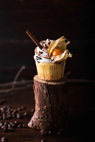 Chocolate cupcakes with white butter cream, decorated with winter cherry on a dark wooden background. Decorated with cinnamon sticks — Stock Photo, Image