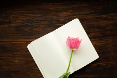 Çiçek, ahşap arka plan ile ilgili notlar