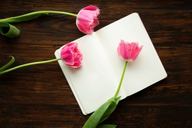 Çiçekler, ahşap arka plan ile ilgili notlar