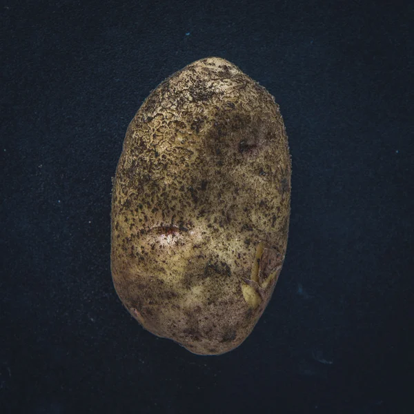 Сырая новая картошка — стоковое фото