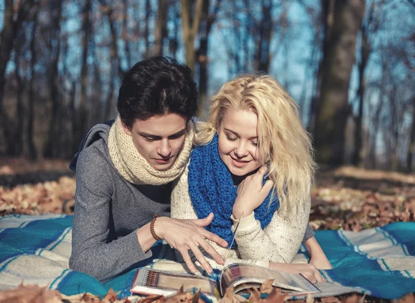 公園でのピクニックでロマンチックなカップルは恋人 — ストック写真