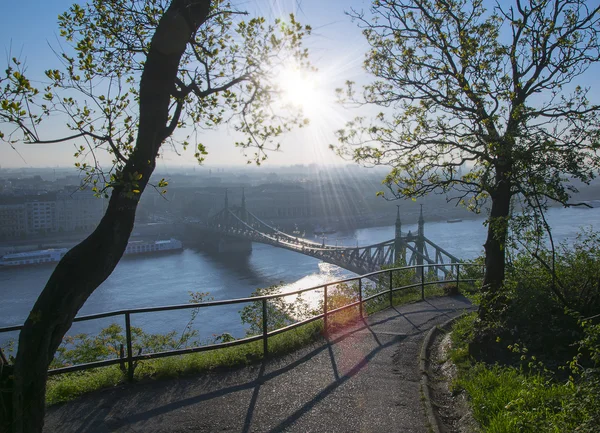 Sonnenaufgang über Donau und Gellert Hill Park in Budapest — Stockfoto