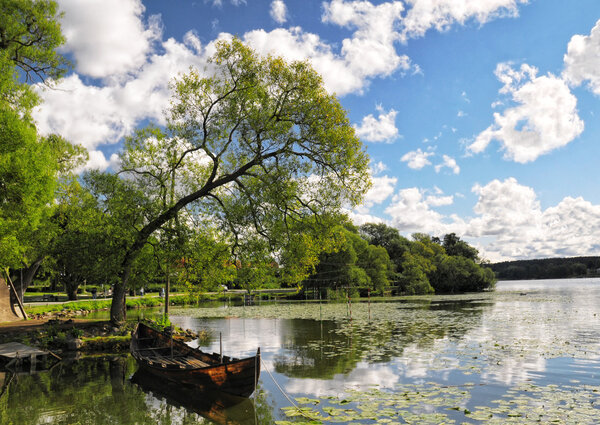 Wooden boat moored at lake shore