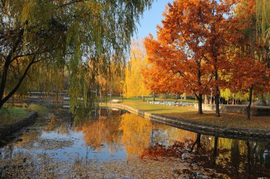 güzel sonbahar park