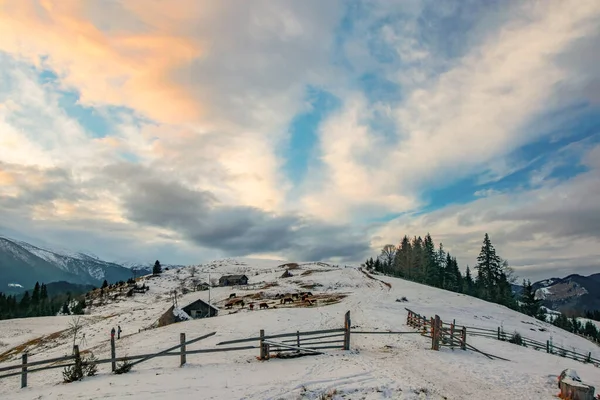 Boerderij Bergketen Winteravond Schilderachtige Wolken Branden Bij Zonsondergang Dzembronya Oekraïense — Stockfoto