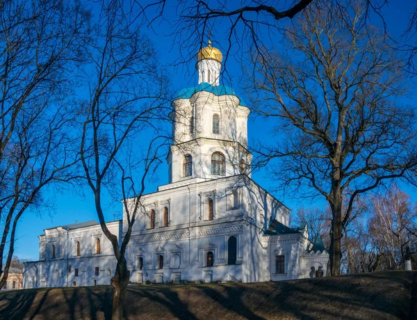 Landschappelijk Uitzicht Collegium Chernigov Oekraïne Zonnige Lentedag Collegium Werd Gebouwd — Stockfoto