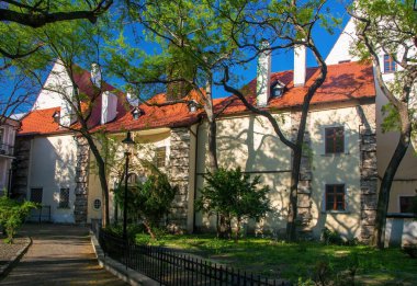 Slovakya 'nın Bratislava kentindeki tarihi Notre Dame Kilisesi (Kostol Nanebovzatia Panny Marie)