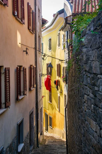Typische Smalle Straat Historische Stad Piran Populaire Toeristische Plaats Aan — Stockfoto