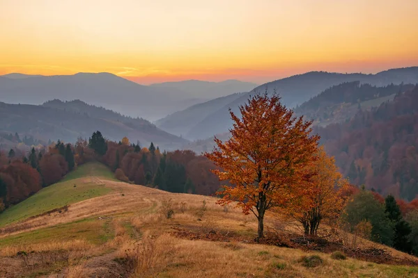 Barevné Podzimní Večer Západu Slunce Karpatských Horách — Stock fotografie