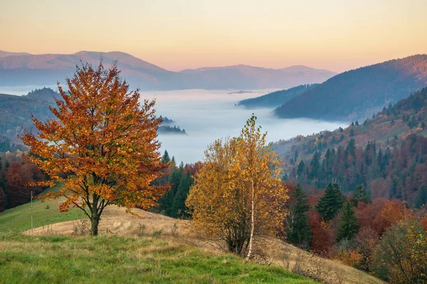 Erstaunlicher Herbstabend Nach Sonnenuntergang Den Karpaten Bunte Hügel Und Der — Stockfoto