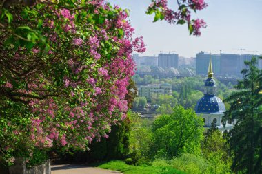 Güneşli bir günde Dinyeper Nehri 'ne ve modern Kyiv şehrine karşı kurulmuş tarihi Vydubychi Manastırı' nın karakteristik mavi ve altın kubbesine sahip bereketli bir bahar manzarası.