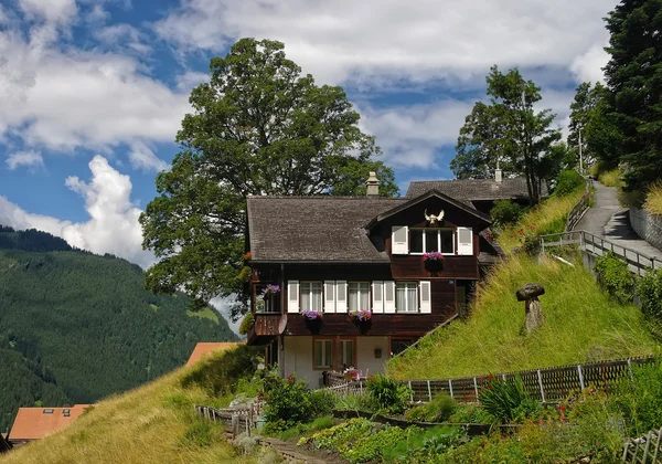 Chalé de madeira tradicional em Grindelwald, Suíça — Fotografia de Stock