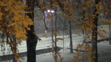 Geceleri sessiz caddelere düşen kar, sonbahar yapraklarıyla ağaçların arasından seyrediliyor. Yumuşak sokak lambalarıyla aydınlatılıyor. Huzur, yalnızlık ve kış sükunetini çağrıştırıyor.