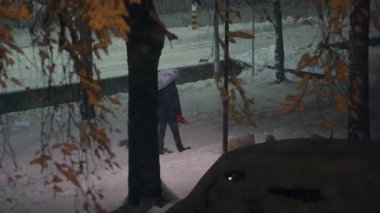 Geceleri şemsiyeyle gezen köpek, sokak lambalarıyla aydınlatılan ve sonbahar yapraklarıyla çerçevelenen ağaçlar, yalnızlığı çağrıştıran, kışın eşlik eden.