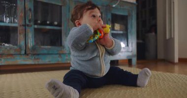 Bebek yerde oturmuş renkli oyuncaklarla oynuyor, merak ve odak ile dokuları ve şekilleri keşfediyor, merakı, masumiyeti ve erken bilişsel gelişimi ifade ediyor.