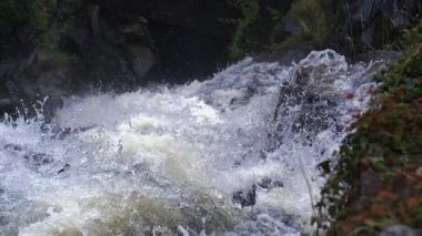 Güçlü şelale kayalara çarpıyor. Etrafı bitkilerle çevrili. Ağır çekimde yüksek hızlı kamerayla çekiliyor.