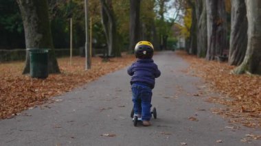 Küçük bir çocuk, uzun ağaçlar ve dağınık yapraklar arasında süzülerek basit bir neşe, bağımsızlık ve nazik bir hareketle dolu sakin bir sonbahar sahnesi yaratıyor.