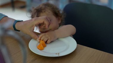Küçük çocuk masada otururken tabakta kavun parçalarına uzanıyor, küçük el odaklanmış ifade ve yetişkin eli ile yiyeceği kavrıyor.