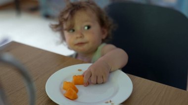 Küçük çocuk masada otururken tabakta kavun parçalarına uzanıyor, küçük el odaklanmış ifade ve yetişkin eli ile yiyeceği kavrıyor.