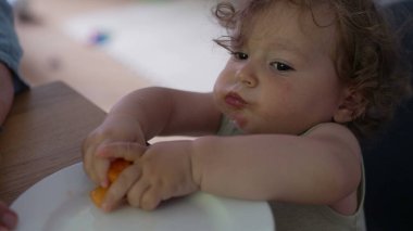 Bebek elinde kavun parçaları tutarken ve masada otururken büyük yanaklarla çiğnerken meraklı ve odaklanmış yemek anlarını kapatıyor.