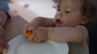Bebek elinde kavun parçaları tutarken ve masada otururken büyük yanaklarla çiğnerken meraklı ve odaklanmış yemek anlarını kapatıyor.