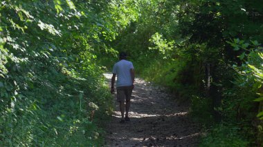 Yaşlı adam orman yolunda tek başına yürüyor, şort ve beyaz gömlekle yokuş yukarı yürüyor, yoğun yeşillik ve sessiz ormanlık atmosferle çevrili.