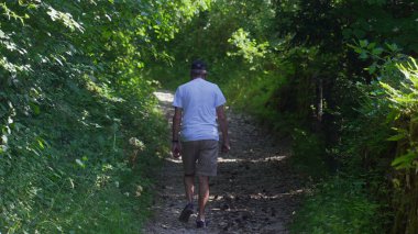 Yaşlı adam orman yolunda tek başına yürüyor, şort ve beyaz gömlekle yokuş yukarı yürüyor, yoğun yeşillik ve sessiz ormanlık atmosferle çevrili.