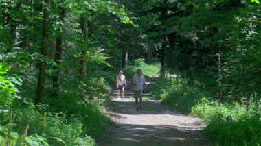 Huzurlu doğal ortamda yaz yürüyüşü sırasında sık yeşil yapraklarla çevrili, gölgeli orman yolu boyunca yokuş yukarı yürüyen yaşlı çift.