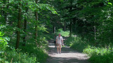 Huzurlu doğal ortamda yaz yürüyüşü sırasında sık yeşil yapraklarla çevrili, gölgeli orman yolu boyunca yokuş yukarı yürüyen yaşlı çift.