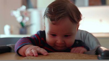 Bebek yüksek sandalyede oturuyor, bir testere tutuyor ve ısırmaya çalışıyor, odaklanmış ifade, keşfetme dokusu, erken duyusal deneyim, kapalı bir aile ortamı