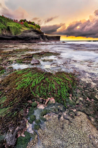Batu Bolong beach Stock Picture