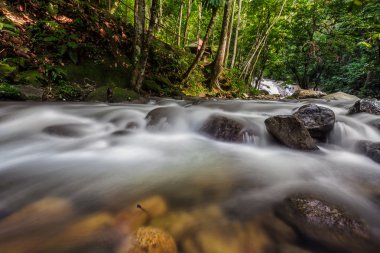 Güzel panoramik Lata Kinjang şelale
