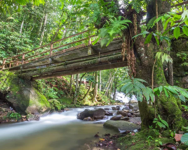 El puente a la naturaleza — Foto de Stock