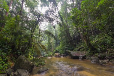 Güzel panoramik Lata Kekabu şelale