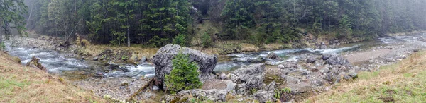 Mendaki di lembah Koscieliska di Zakopane — Stok Foto