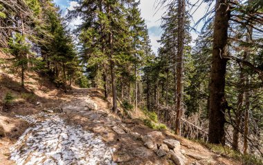 dağ, Karkonosze, Karpacz