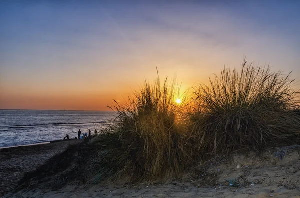 Solnedgång, strand, Spanien — Stockfoto