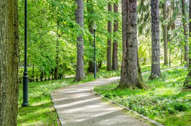 tezgah, park, yürümek, sakin ol